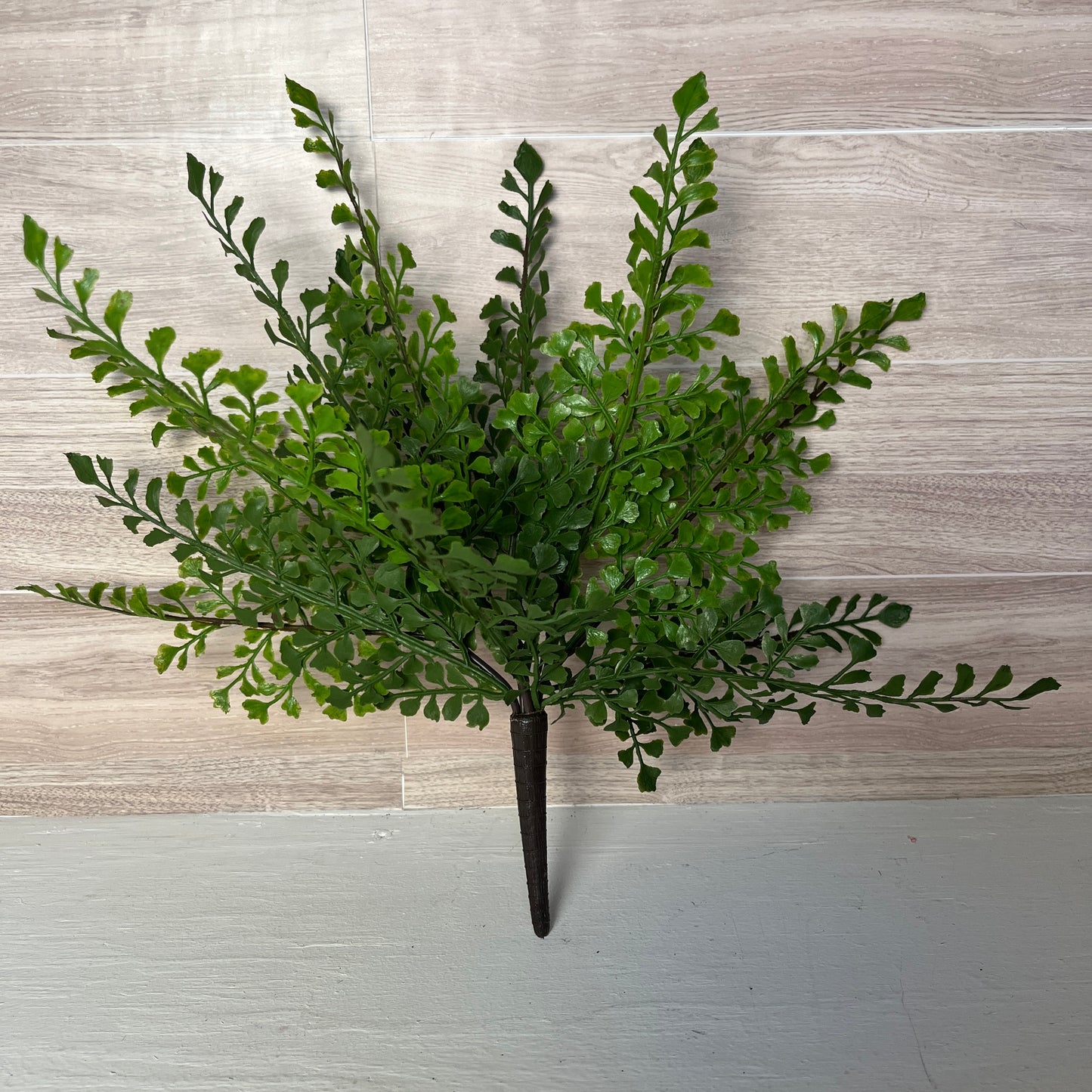 Maiden Hair Fern Bush