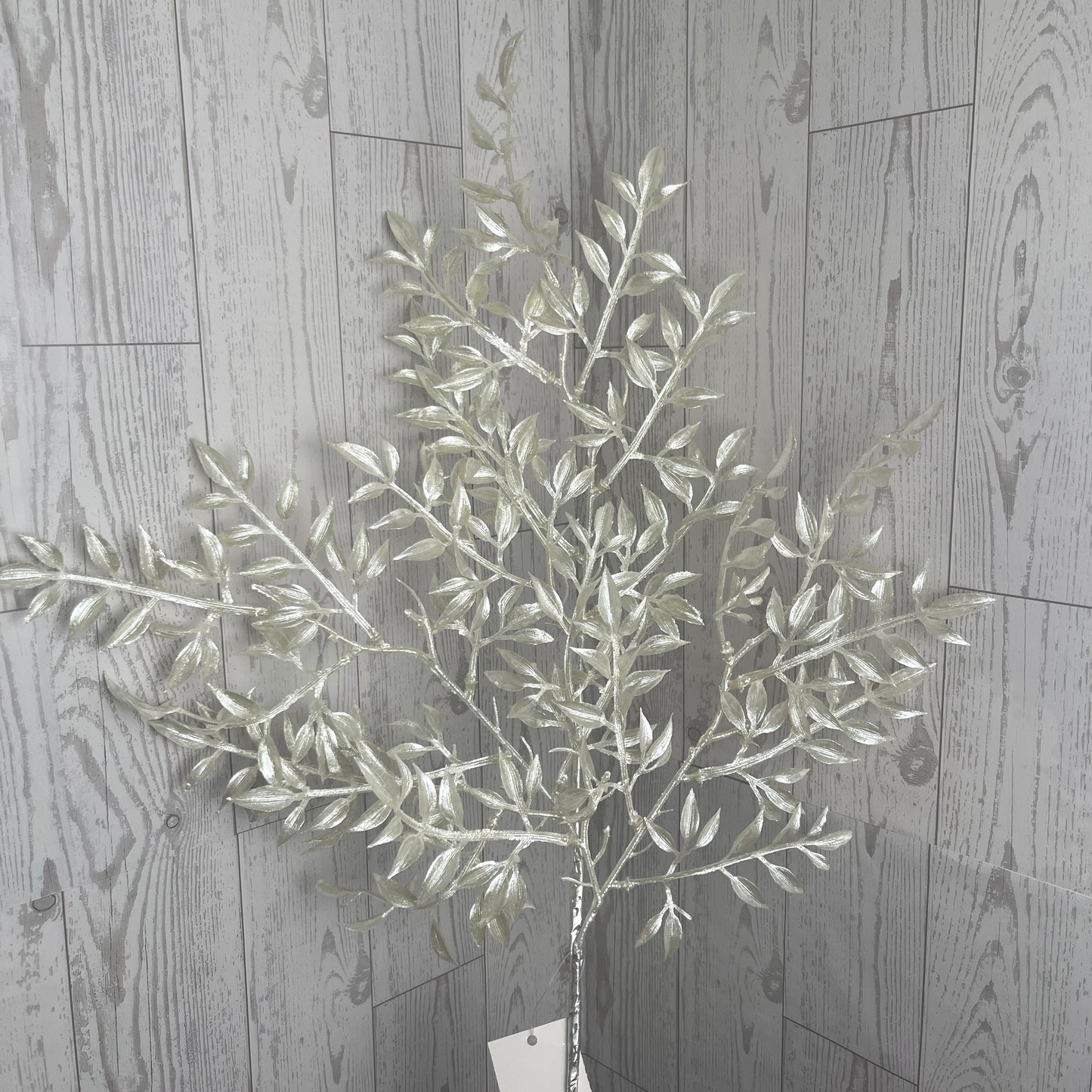 25"L PEARL RUSCUS SPRAY X3 White