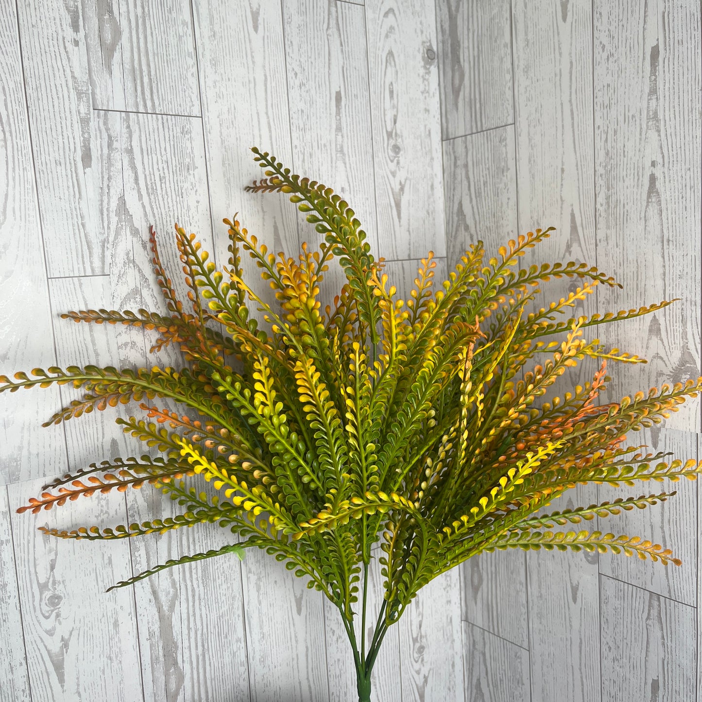 19" L Button Fern Orange Tip Grass Bush
