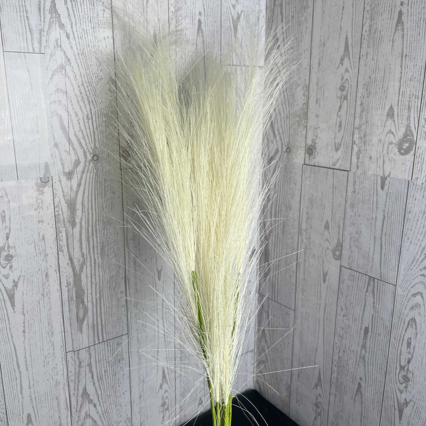 24” Pampas Grass- White