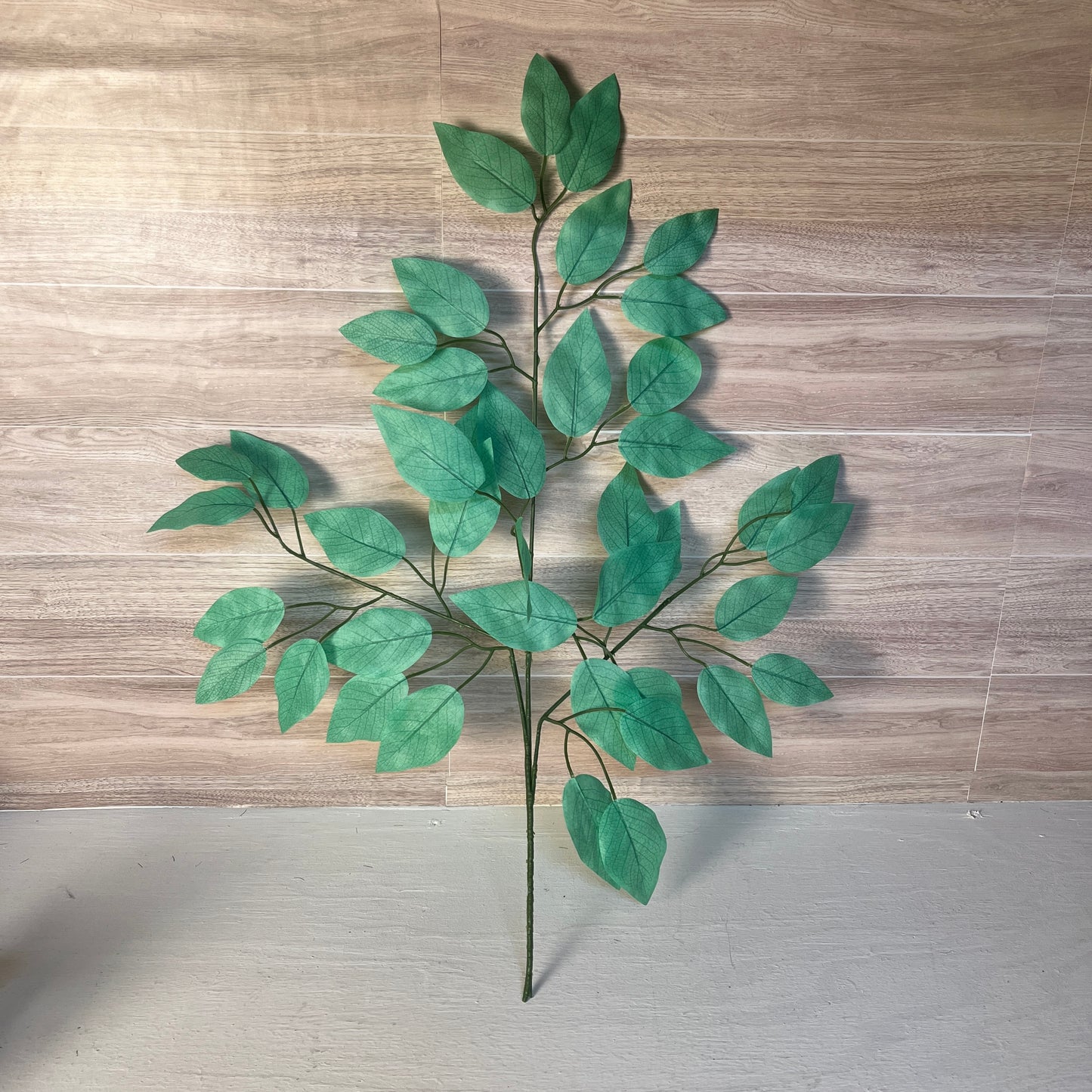 Mint Green Ficus Stems (Sold by set of 3 Stems)