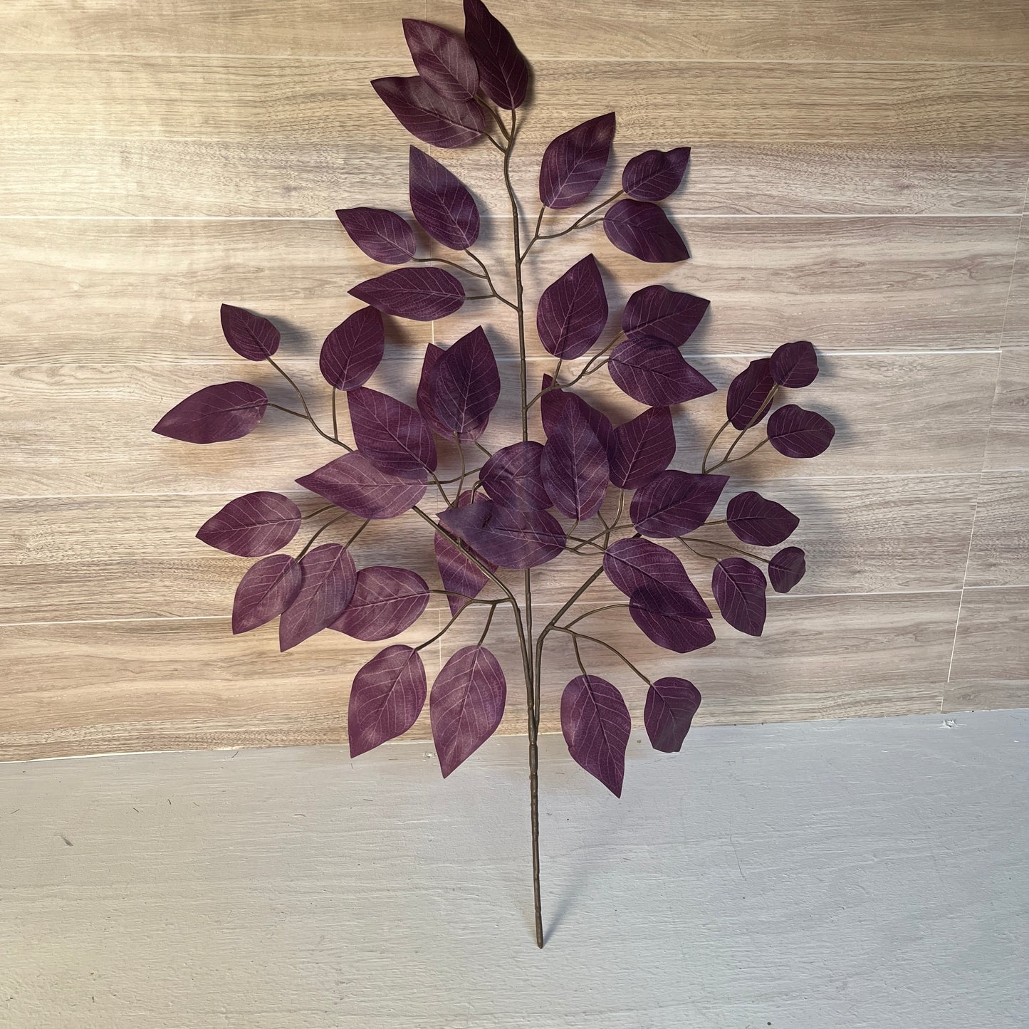 Plum Ficus Stems (Sold by set of 3 Stems)
