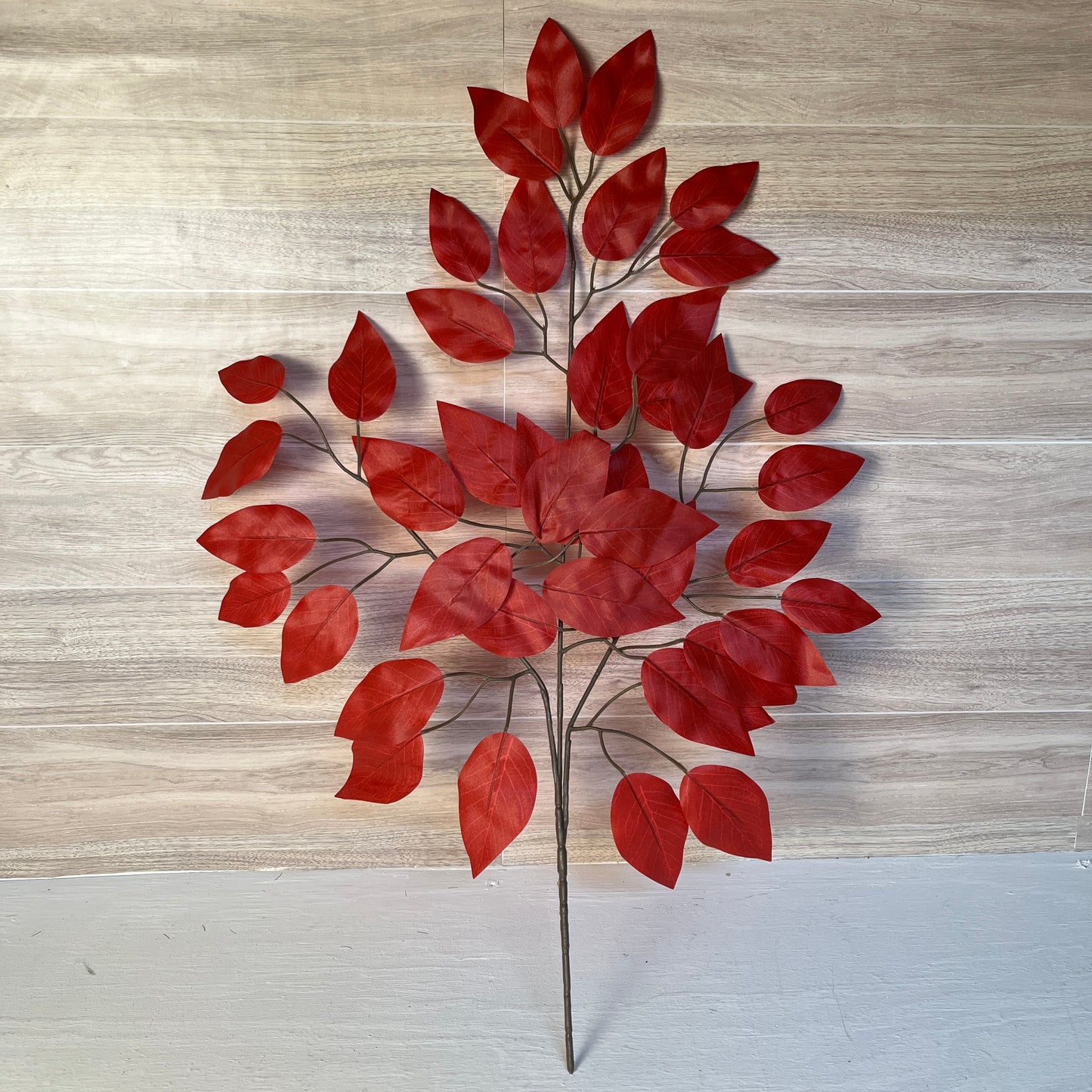 Red Ficus Stems (Sold by set of 3 Stems)
