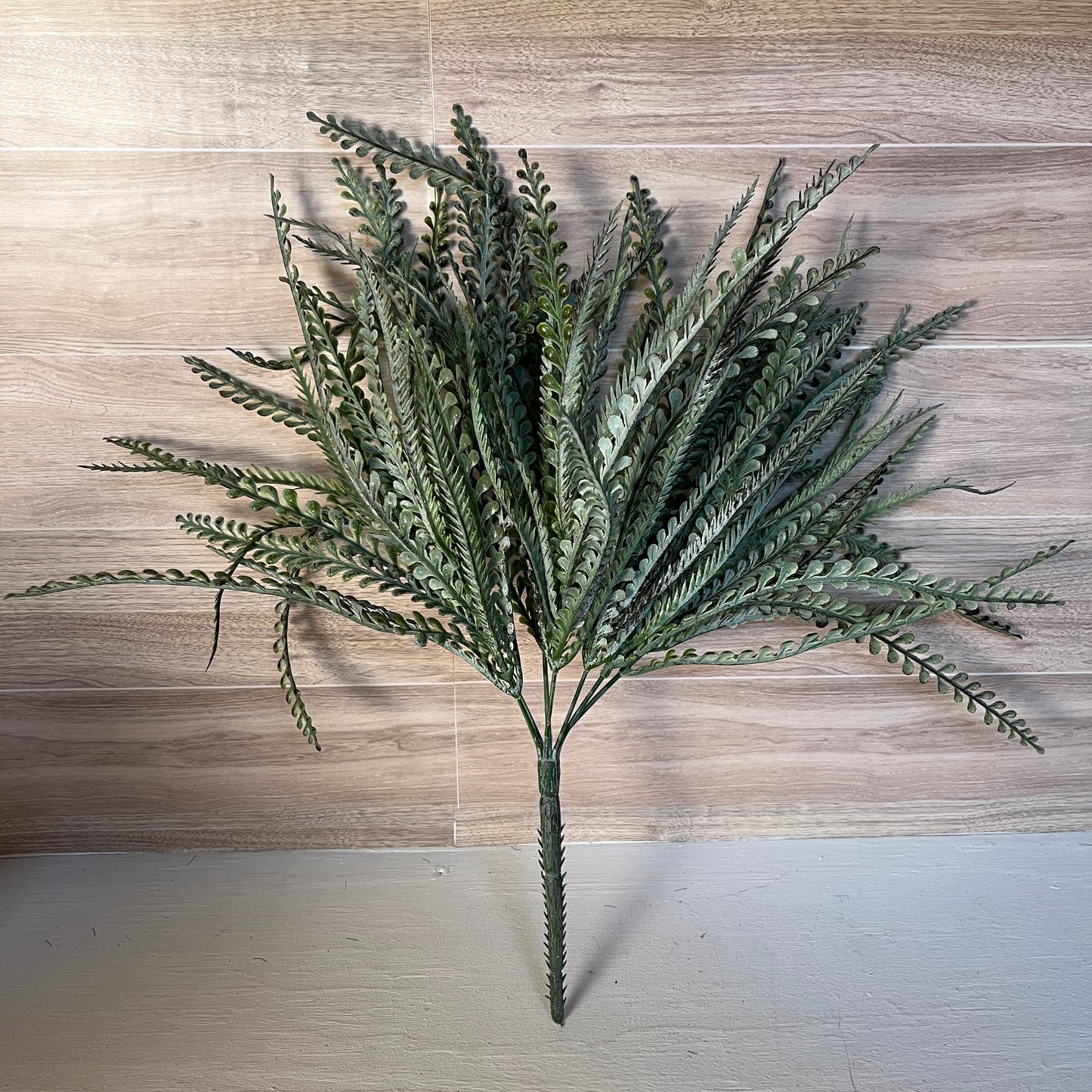 19" L Button Fern Frosted Grass Bush