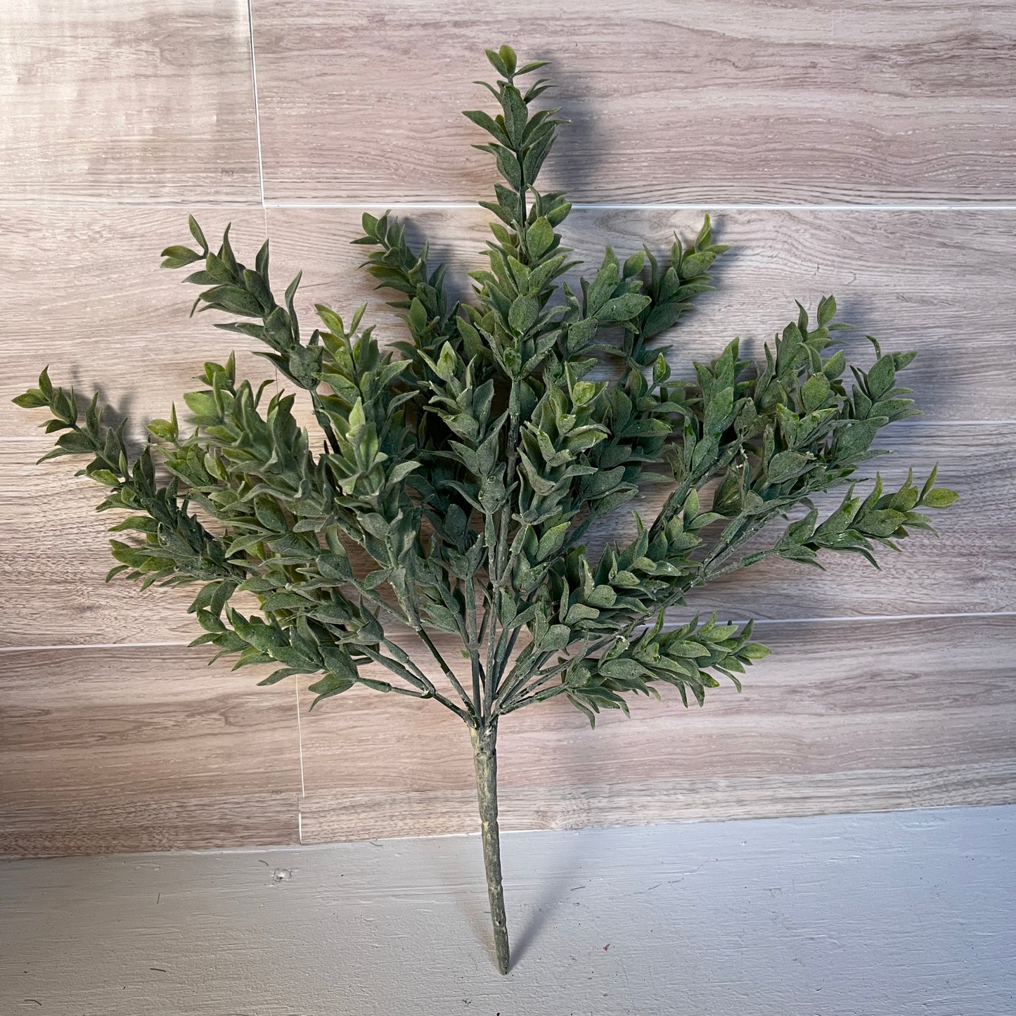 14.5"H Plastic Frosted Boxwood Bush