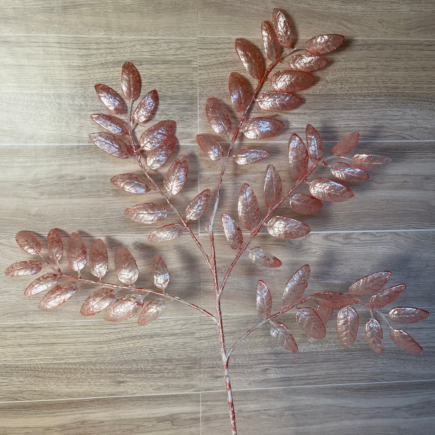 Pink Pearl Honey locust Stem