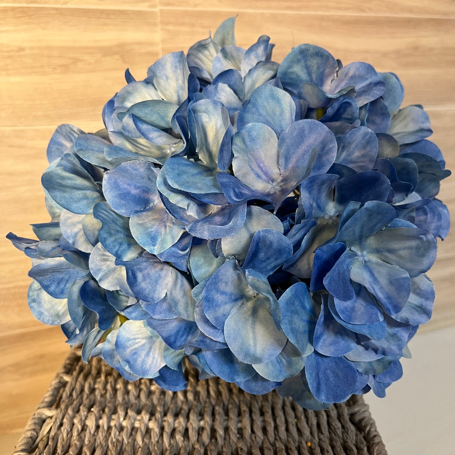 Blue Orchid Hydrangea W/ Green leaf Bush (5stem)