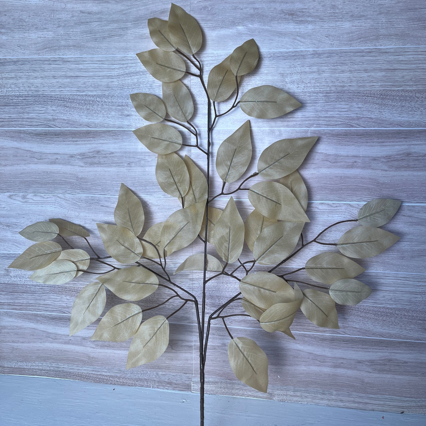 Taupe Ficus Stems (Sold by set of 3 Stems)