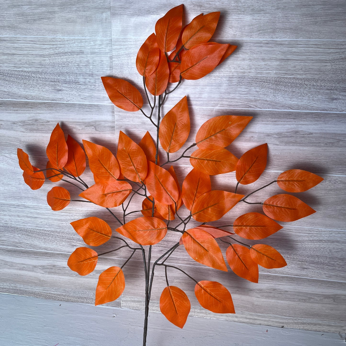 Burnt Orange Ficus Stems (Sold by set of 3 Stems)