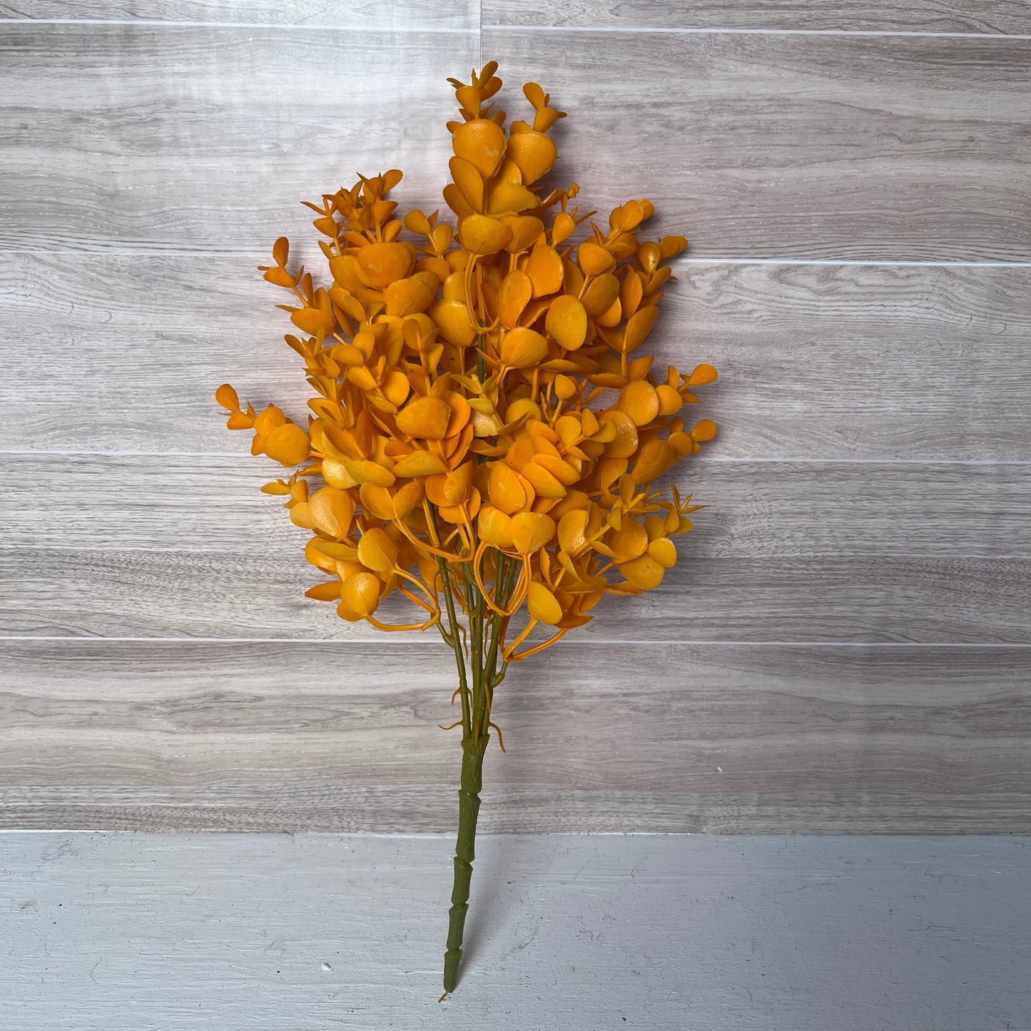 14.5"L Eucalyptus Bush X5 Bright Orange