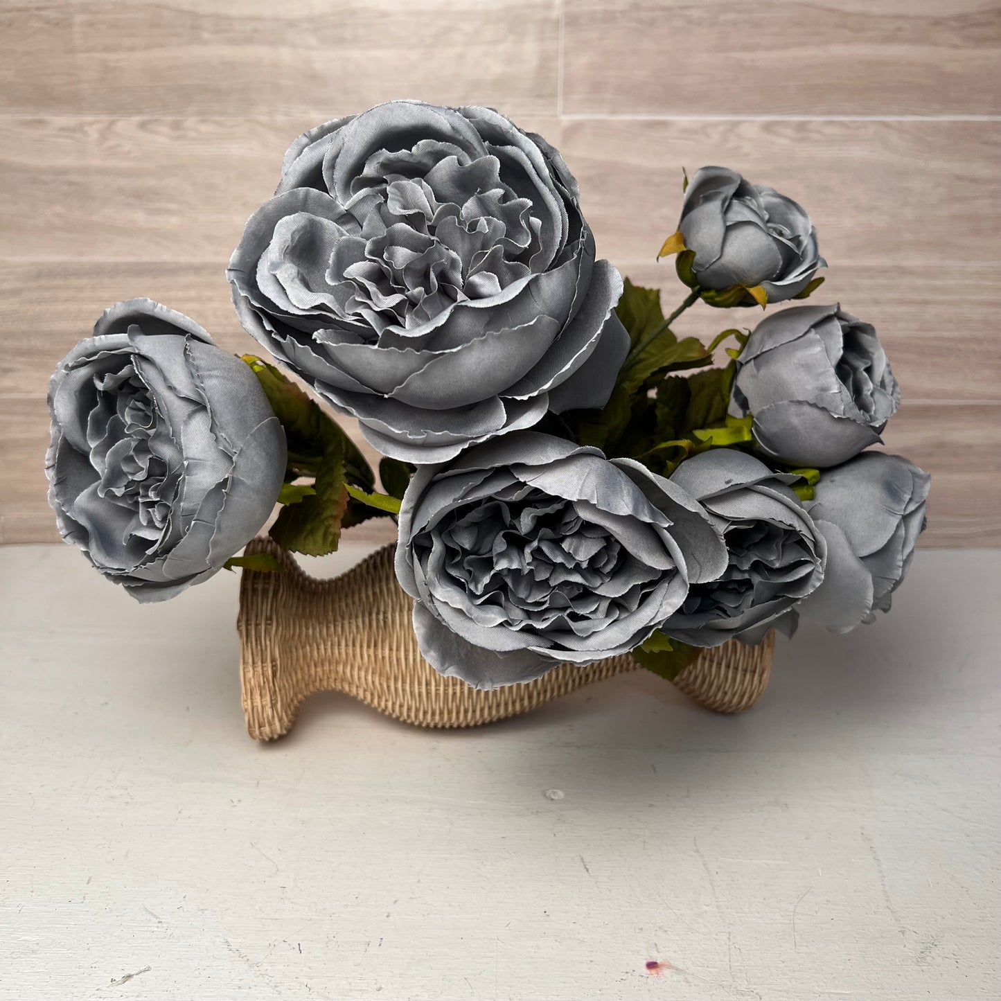 Steel Grey Cabbage Rose Bush