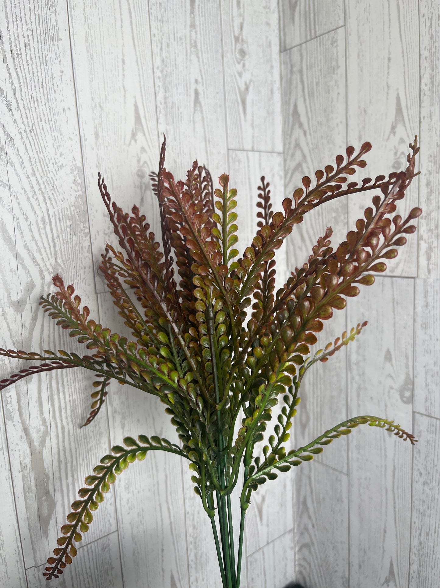 16" Button Fern Brown Tip Grass Bush