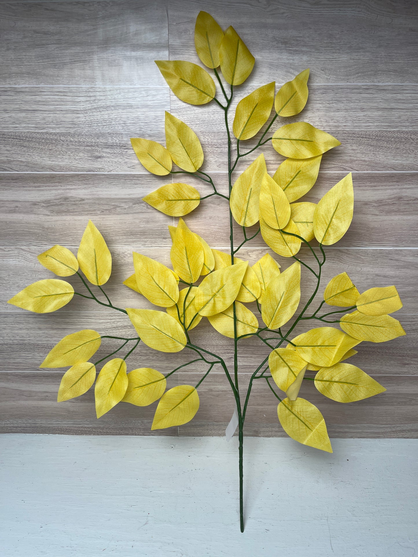 Soft Yellow Ficus Stems (Sold by set of 3 Stems)