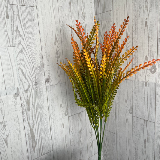 16" Button Fern Orange Tip Grass Bush