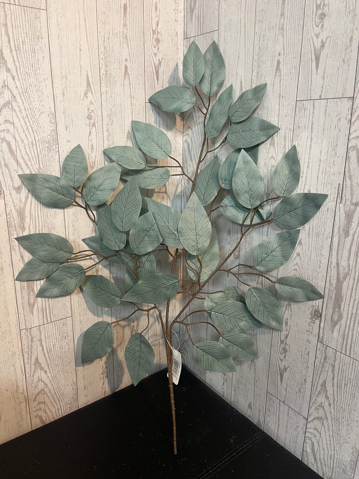 Light Sage Green Ficus Stems (Sold by set of 3 Stems)