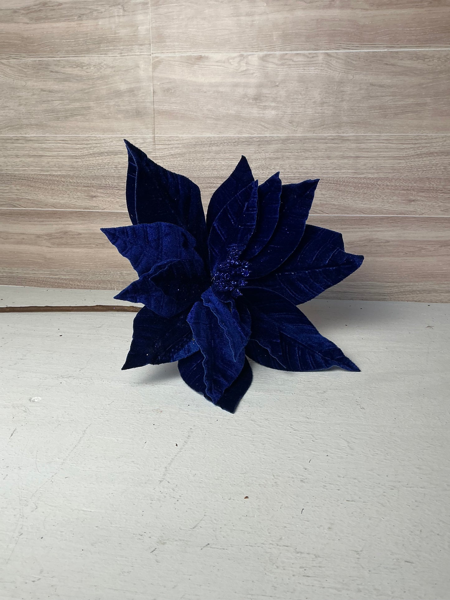 Royal Blue Poinsettia
