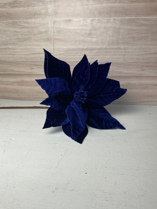 Royal Blue Poinsettia