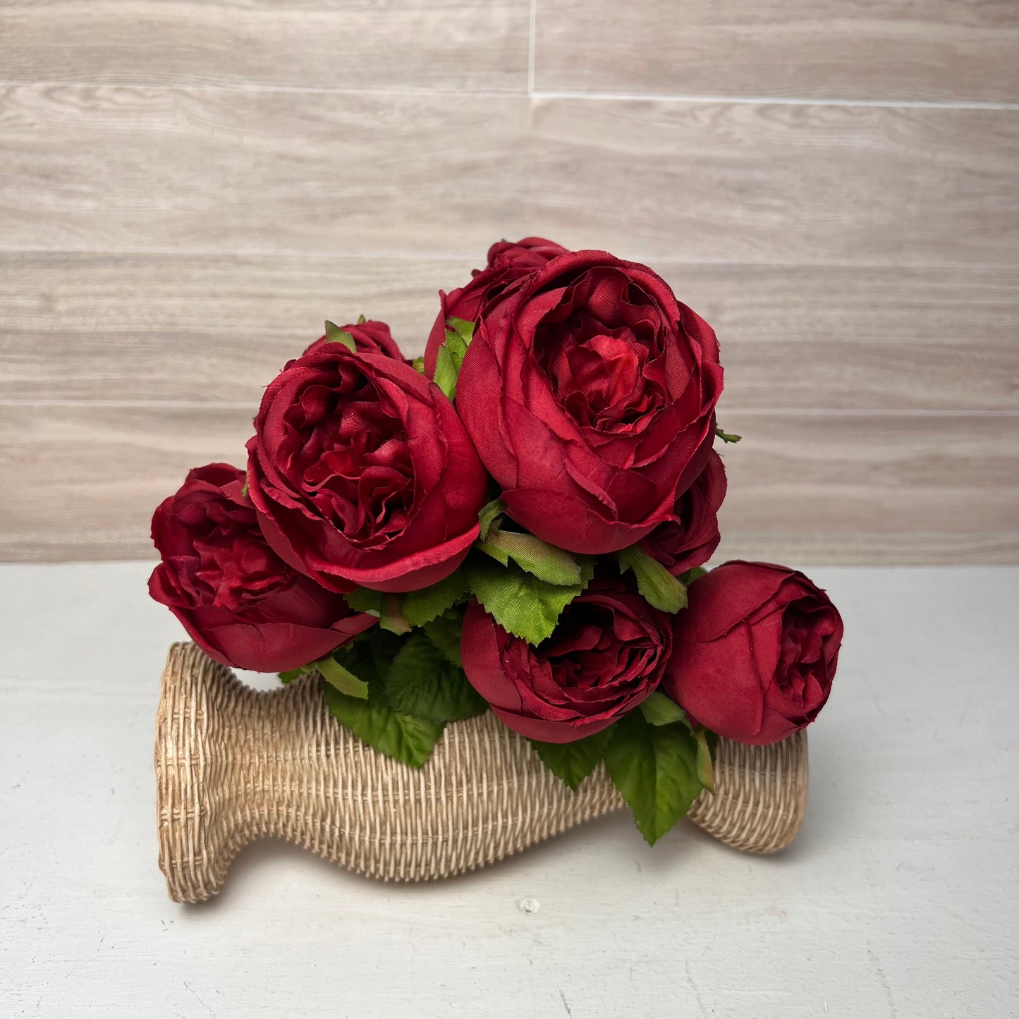 Burgundy Cabbage Rose Bush