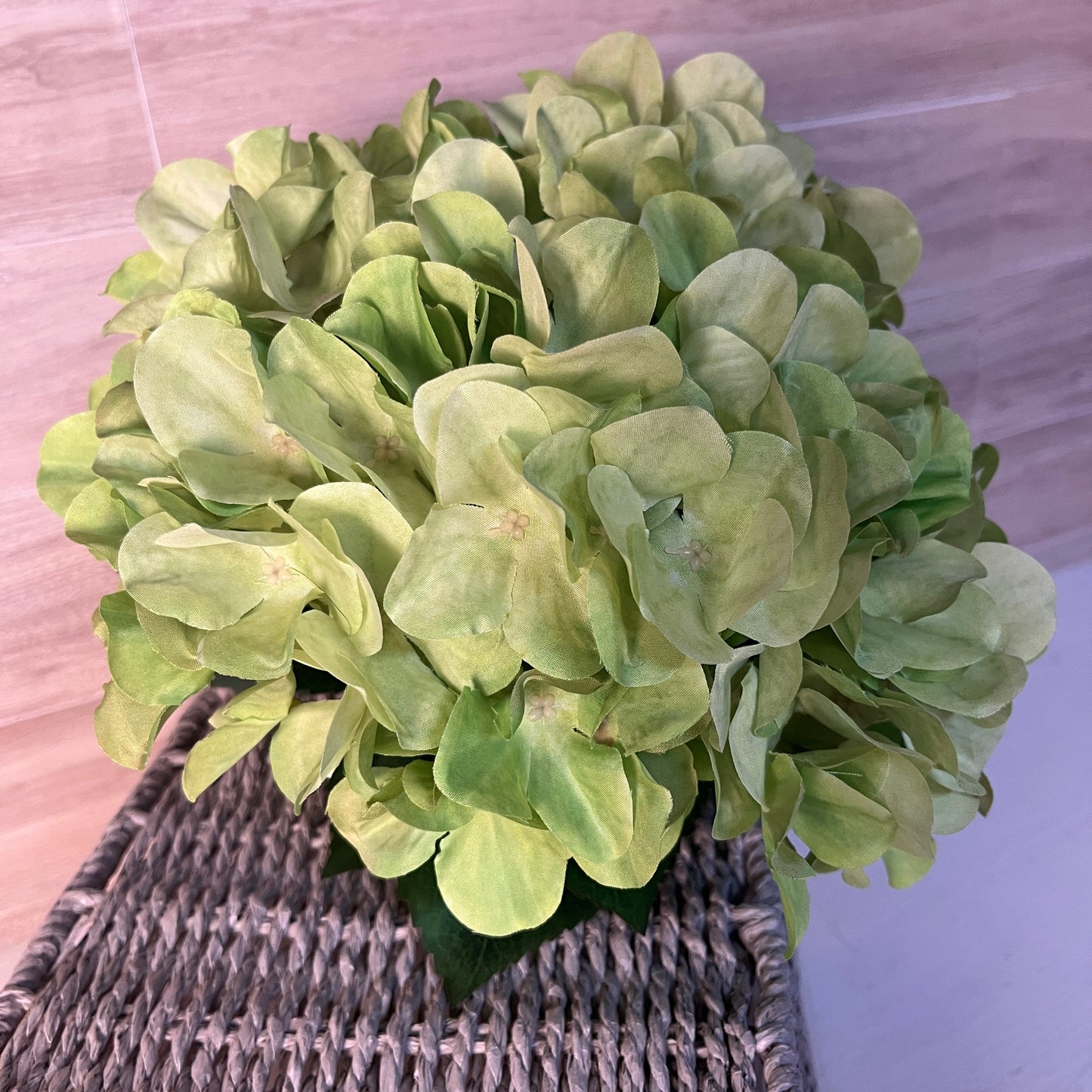 Green Orchid Hydrangea W/ Green leaf Bush (5stem)
