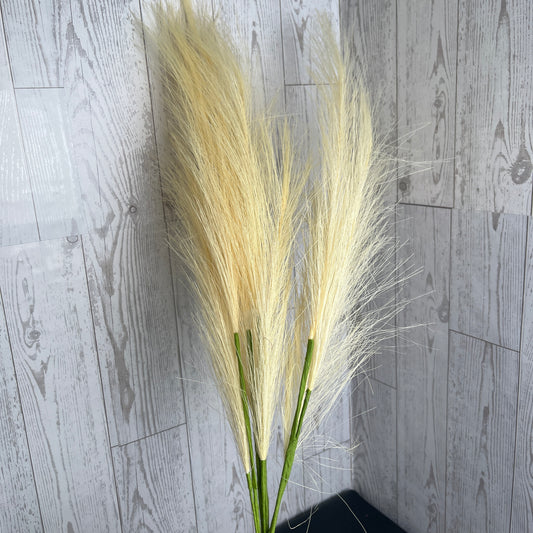 24” Pampas Grass- Cream