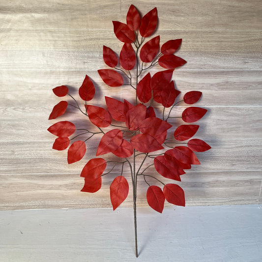Red Ficus Stems (Sold by set of 3 Stems)