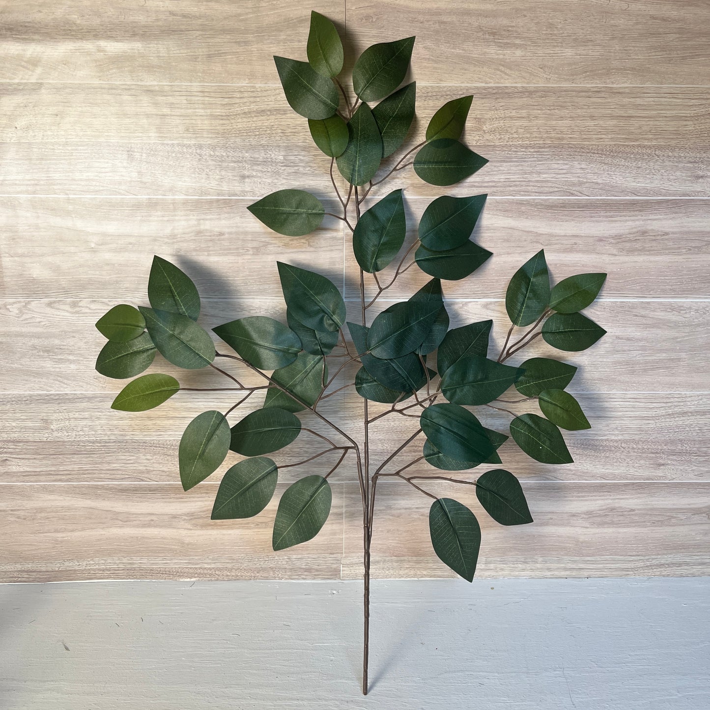 Green Ficus Stems (Sold by set of 3 Stems)