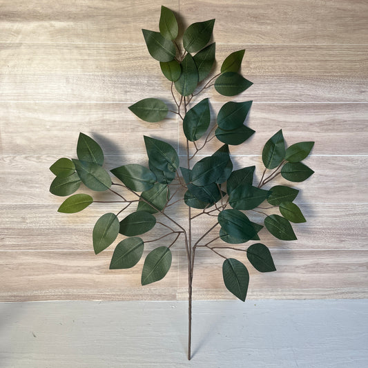Green Ficus Stems (Sold by set of 3 Stems)