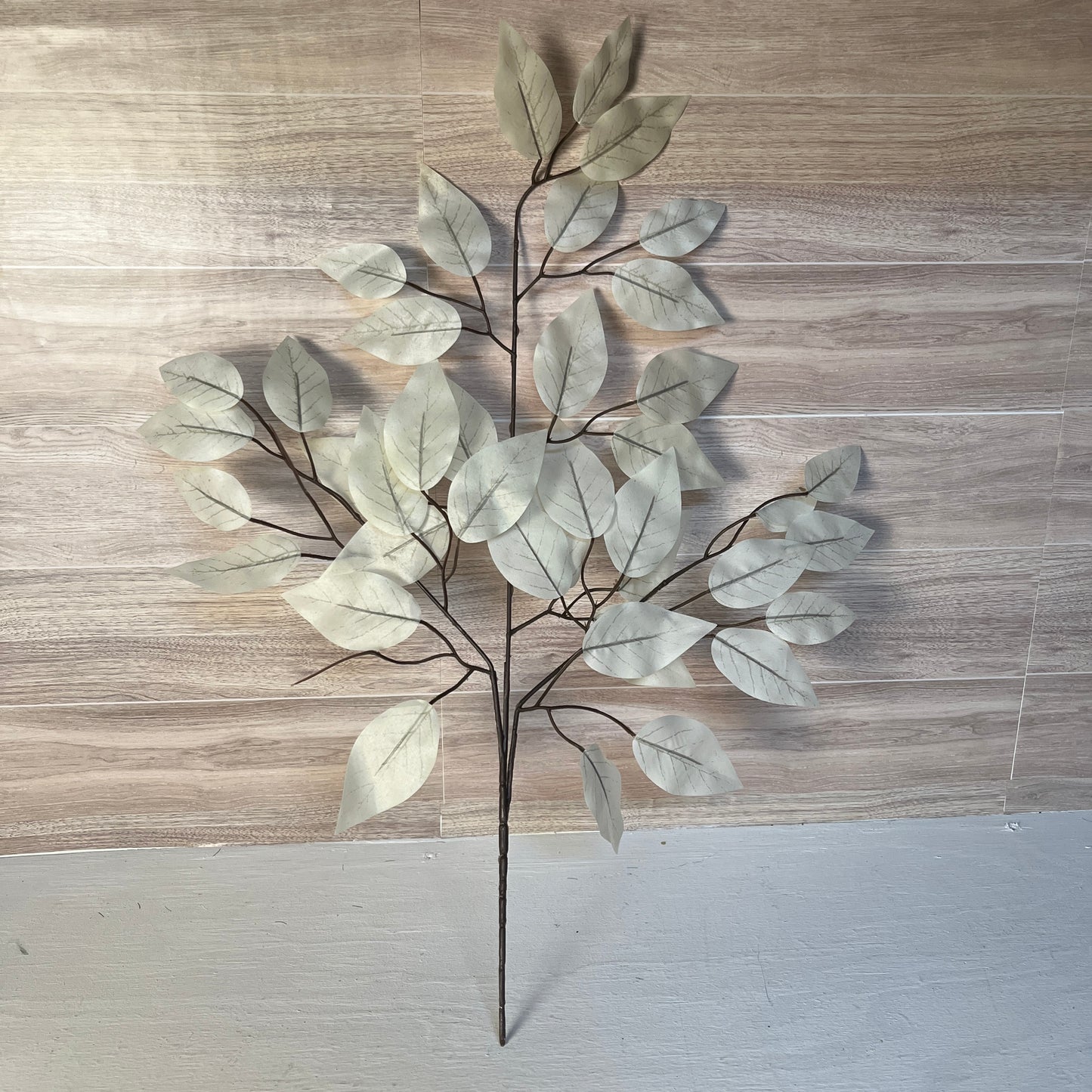White Ficus Stems (Sold by set of 3 Stems)
