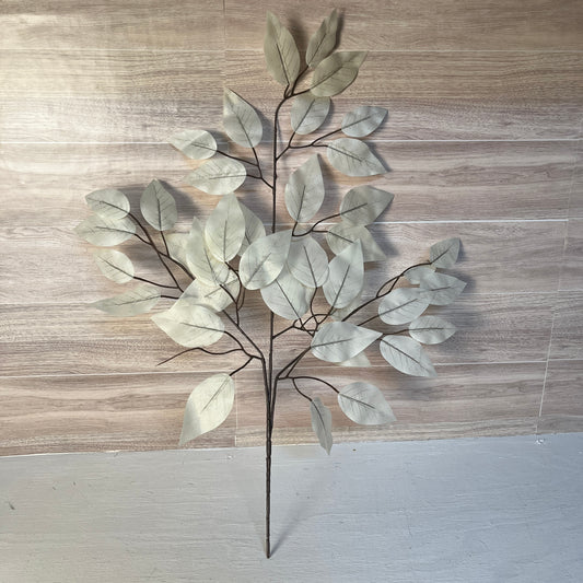 White Ficus Stems (Sold by set of 3 Stems)