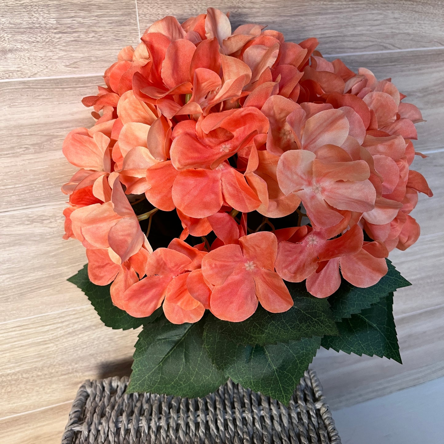 Coral Orchid Hydrangea W/ Green leaf Bush (5stem)