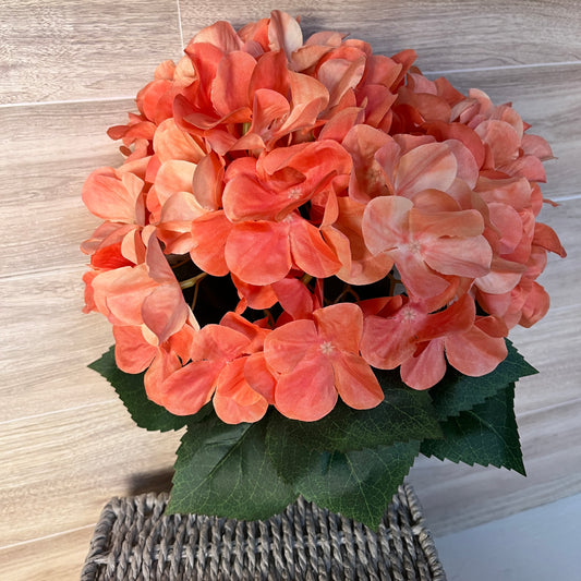 Coral Orchid Hydrangea W/ Green leaf Bush (5stem)