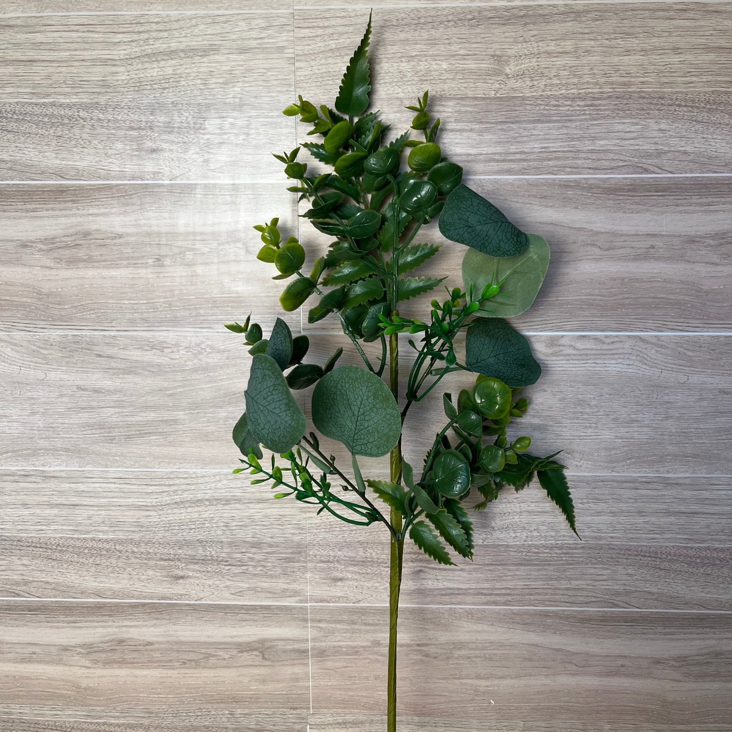 Mixed Green Eucalyptus Stem