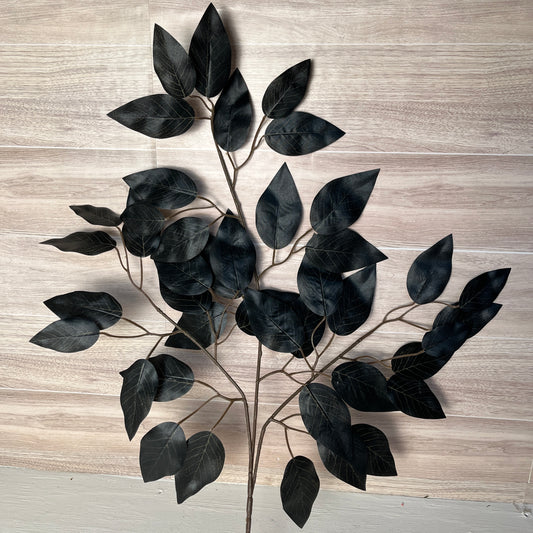 Black Ficus Stems (Sold by set of 3 Stems)