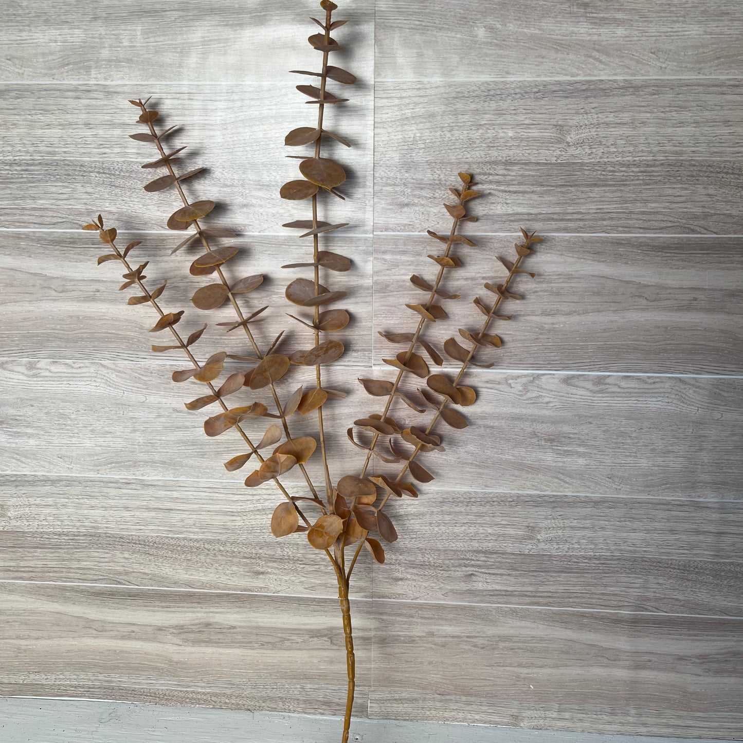 27"L Eucalyptus Spray X 5 Orange Rust